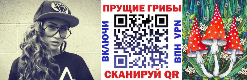 Галлюциногенные грибы Psilocybine cubensis Белореченск
